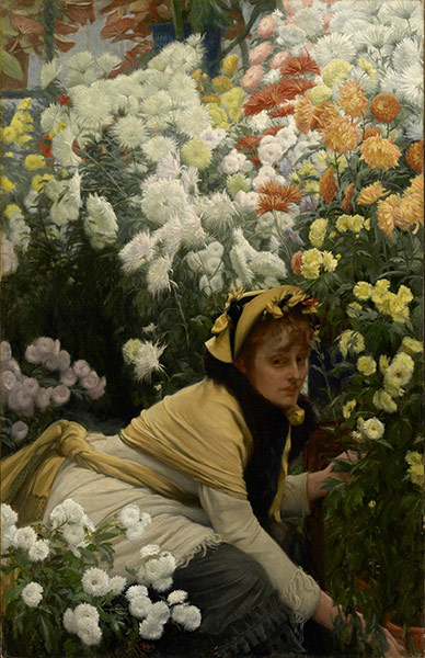 Taste for Impressionism: Chrysanthemums by James Tissot 