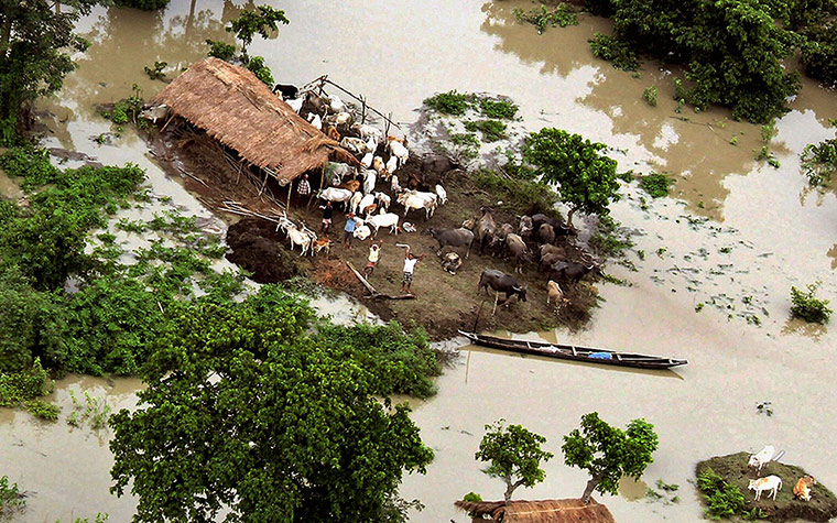 Picture Desk Live: Stranded villagers wave to a helicopter in Assam