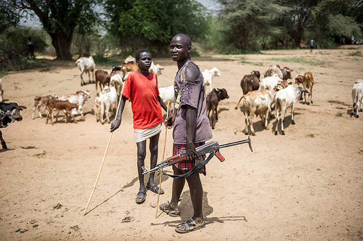 Kenya gun violence: Pokot warriors herding cattle carrying a gun