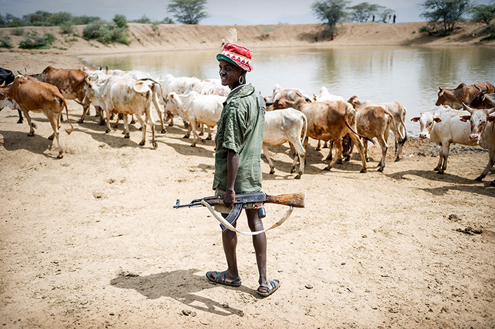 Kenya gun violence: A Pokot warrior herding his cattle