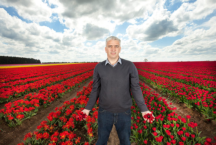 working life: Flower grower Mark Evesgd28739843