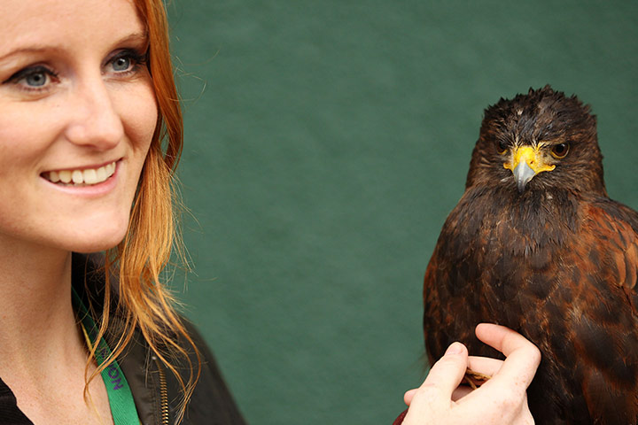 Picture Desk Live: The Championships - Wimbledon 2012: Day Seven