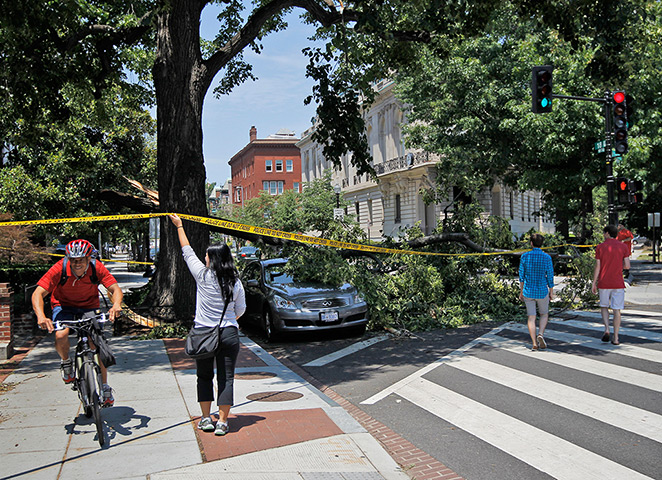 US storms: A bicyclist is help navigate a sidewalk blocked by a fallen tree