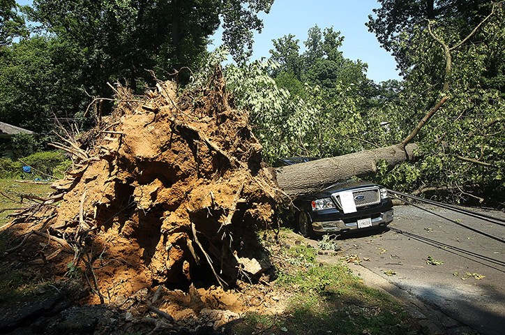US storms: A uprooted tree damages a truck in Falls Church, Virginia