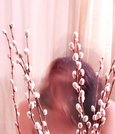 Guardian Camera Club: Small Northern Bird participates in the self portraiture assignment