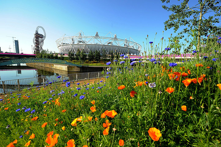Picture Desk Live: Olympics - Olympics Final preparations