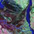 Landsat Anniversary: The Parana River delta