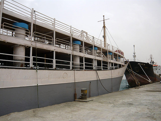 Somaliland : breeding and raising livestock industry