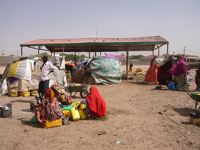 Somaliland : breeding and raising livestock industry