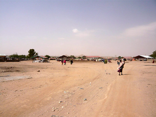 Somaliland : breeding and raising livestock industry