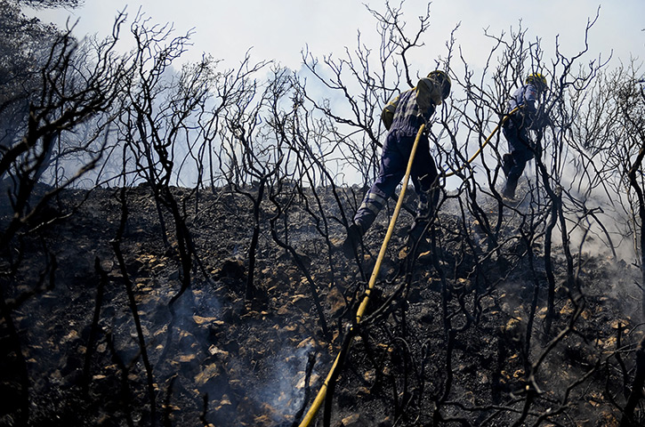 24 hours in pictures:  Firefighters try to extinguish a wildfire near the village of Llers 