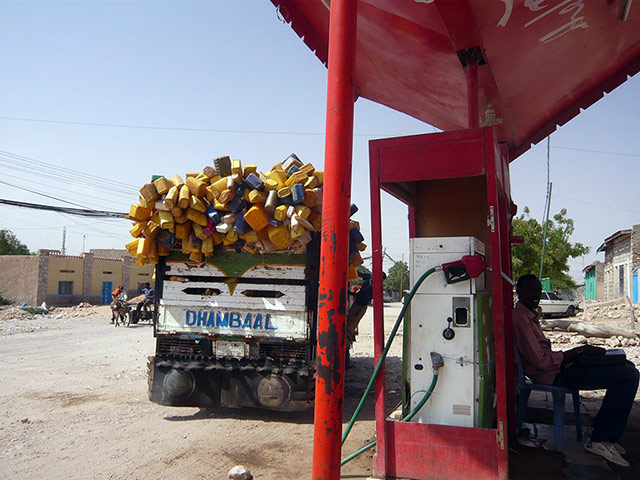 Somaliland : breeding and raising livestock industry