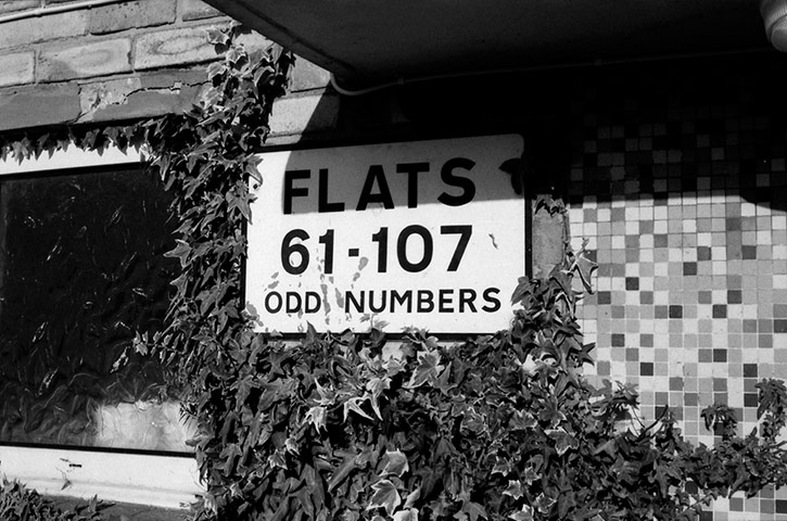 Guardian Camera Club: A review of Curtis James' portfolio