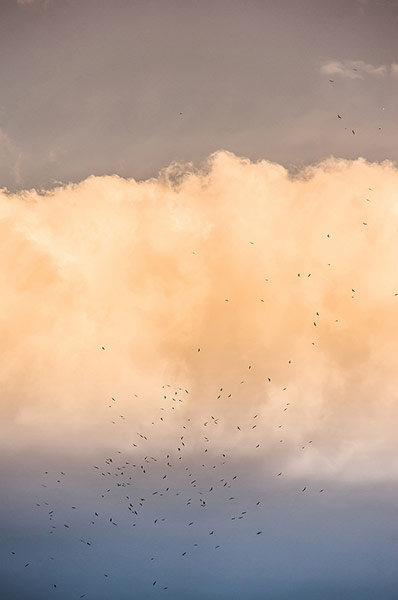 Guardian Camera Club: A review of Tim Easley's portfolio