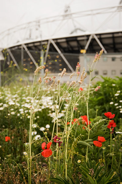 Guardian Camera Club: A review of Louisa Hennessy's portfolio