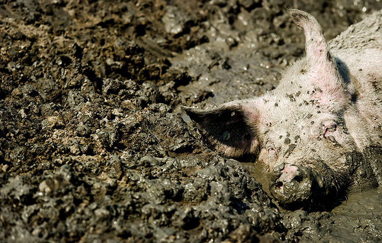 24 hours in pictures: Best Mud Pool of The Netherlands
