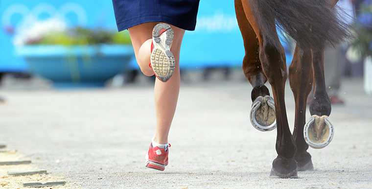 last day for relaxing: Olympic Games 2012 Equestrian Eventing