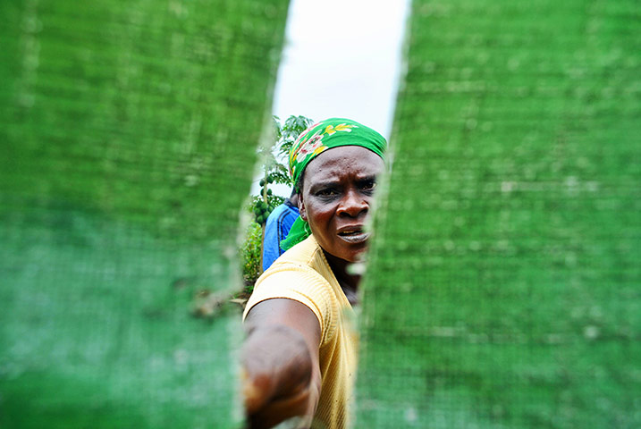 Liberian refugees in western Ivory Coast