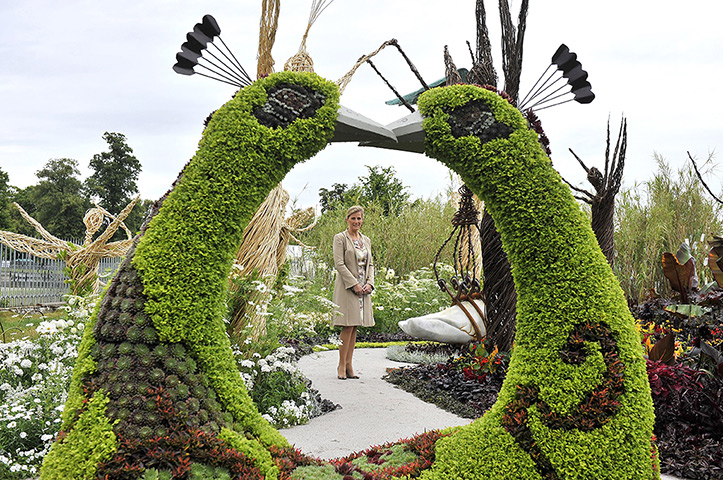 Hampton Court flower show: The Countess of Wessex RHS Hampton Court Flower Show