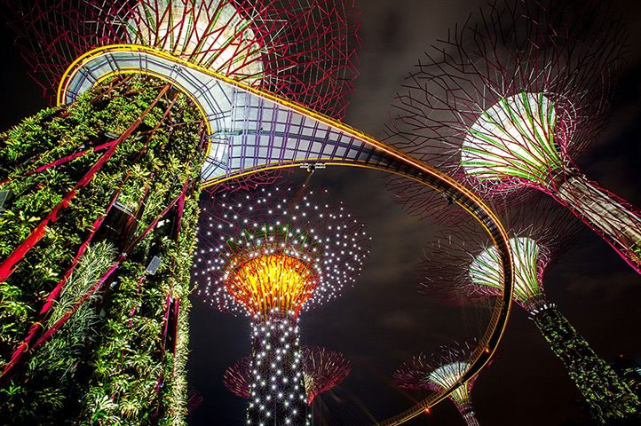 24 hours: Singapore: The Supertree Grove is illuminated during Light and Sound show