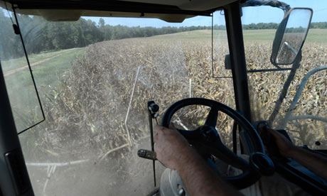 corn drought us food