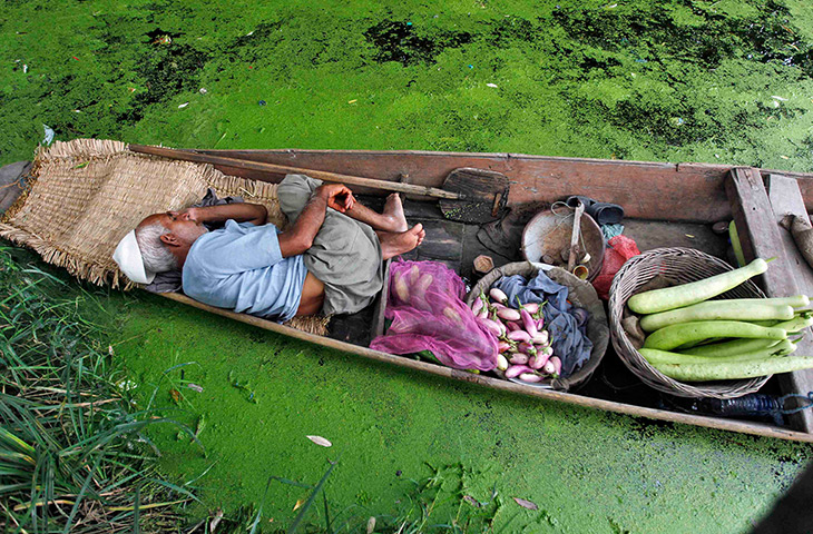 24 hours: Srinagar, Kashmir, India: A vegetable vendor takes a nap in his boat