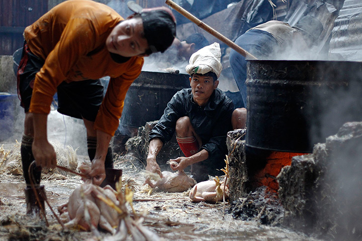 24 hours: Rangoon, Burma: A worker removes feathers from a chicken at a market