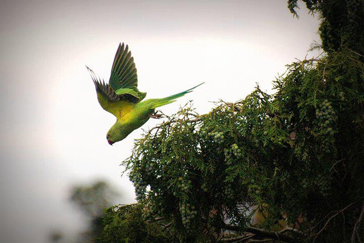 Exhibition : London's Picture of Sustainability Competition