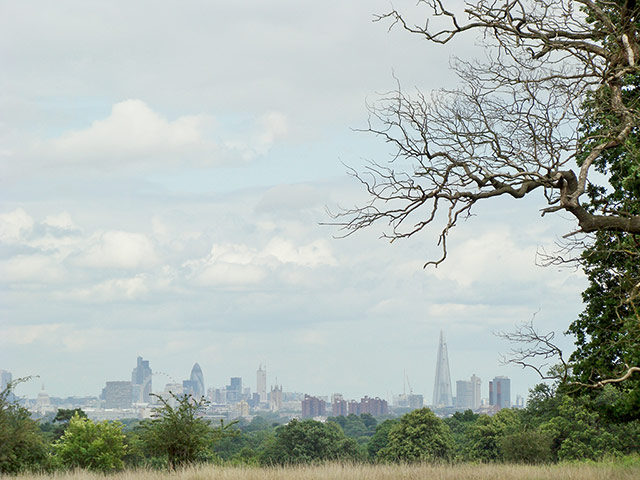 Exhibition : London's Picture of Sustainability Competition