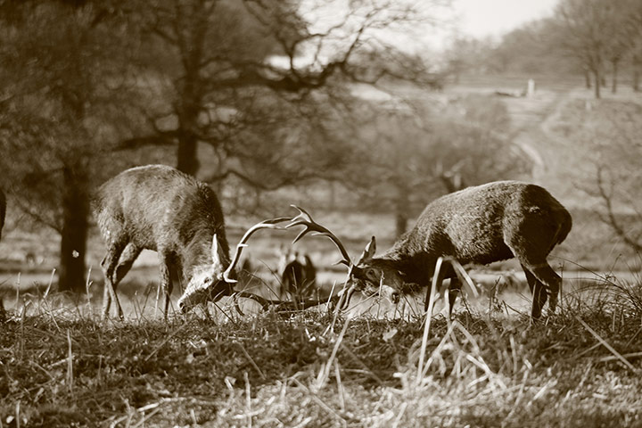 Exhibition : London's Picture of Sustainability Competition