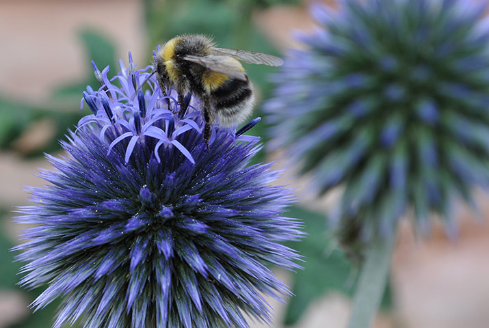 Exhibition : London's Picture of Sustainability Competition