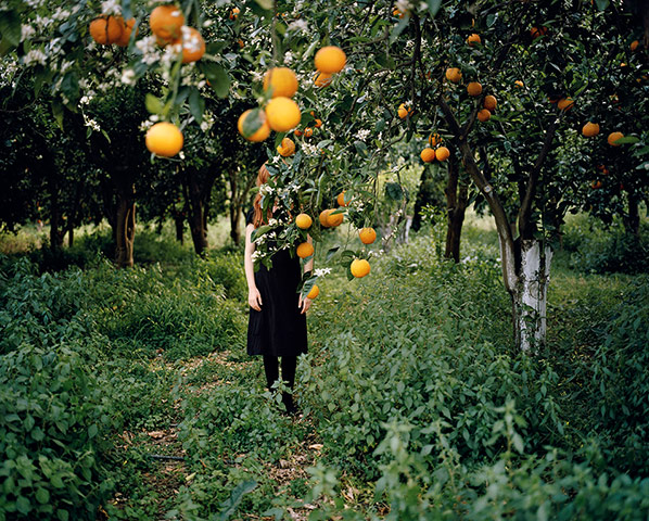 Rencontres Arles 2012: A red headed girl is partially hidden behind orange tree