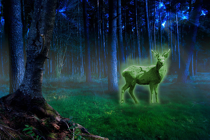 Exhibitionist0707: Kelly Richardson