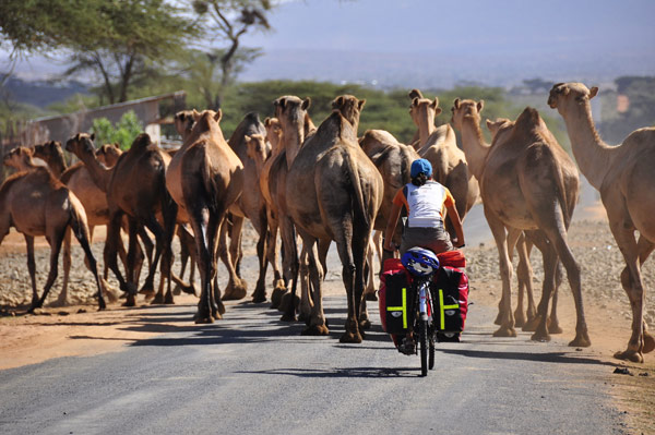 Cycle Africa: Cycle Africa 2