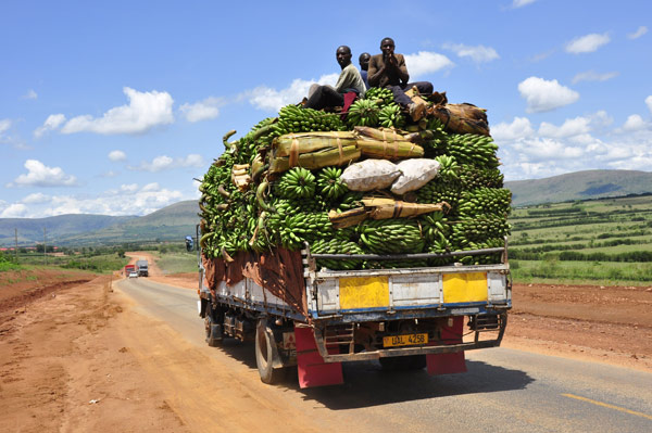 Cycle Africa: Cycle Africa plantain