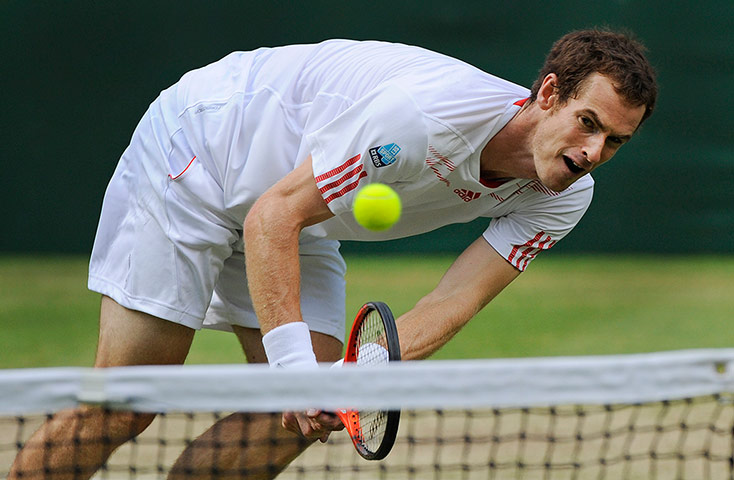 tennis2: Wimbledon 2012