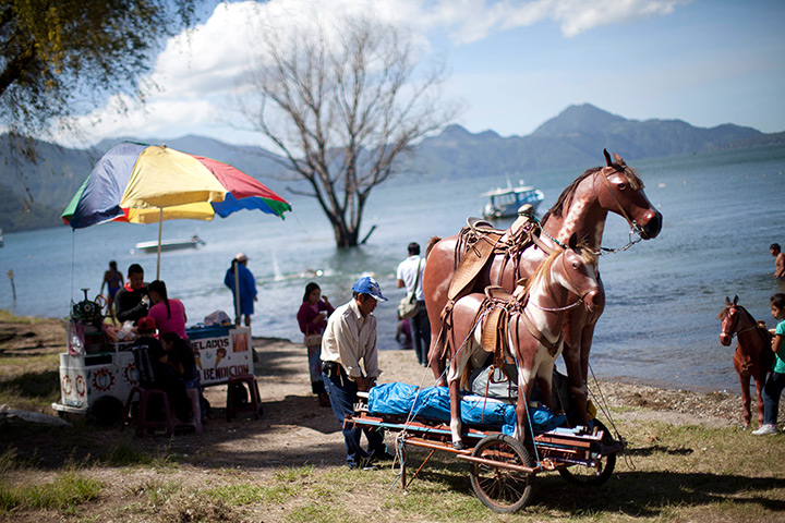  24 hours: Panajachel, Guatemala: A commercial photographer pulls his prop horses