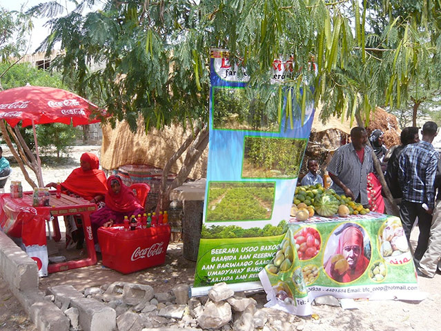 Mark Tran in Somaliland: a photographic diary