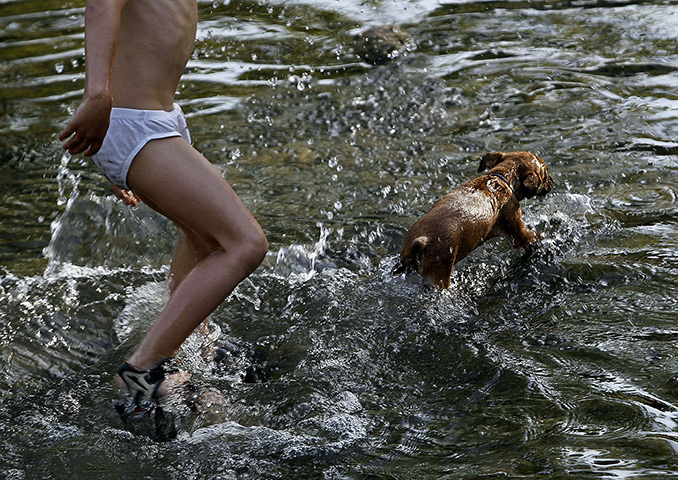 24 hours in pictures:  A child and his dog cool off at the Arga river in Pamplona