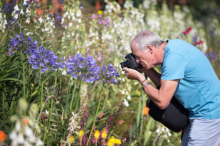 Olympic flora gallery: The Annual Meadows