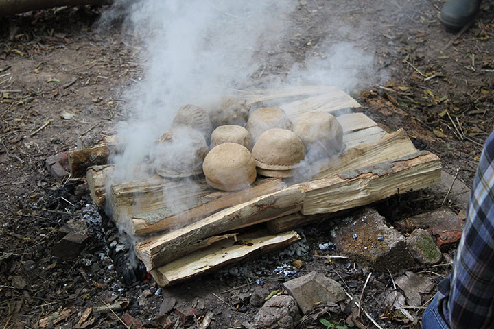 wild pottery: Wild pottery