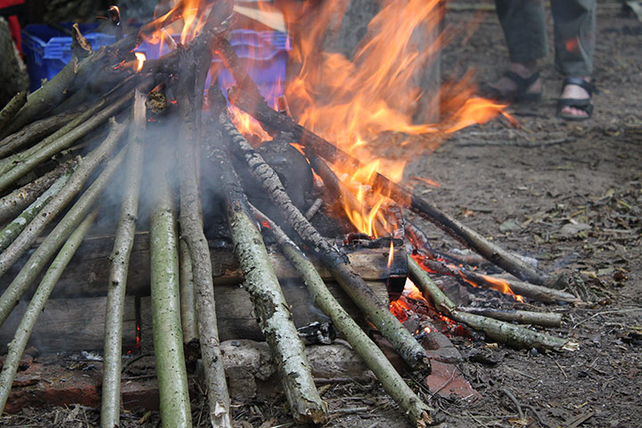 wild pottery: Wild pottery