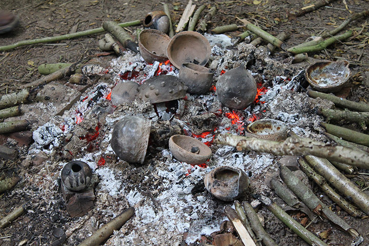 wild pottery: Wild pottery