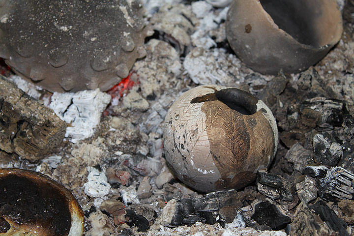 wild pottery: Wild pottery