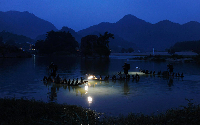 24 hours : Local men fish with trained cormorants in Yongjia