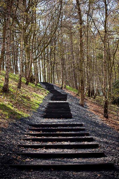 Story of British Art: David Nash, Seventy One Steps at Yorkshire Sculpture Park