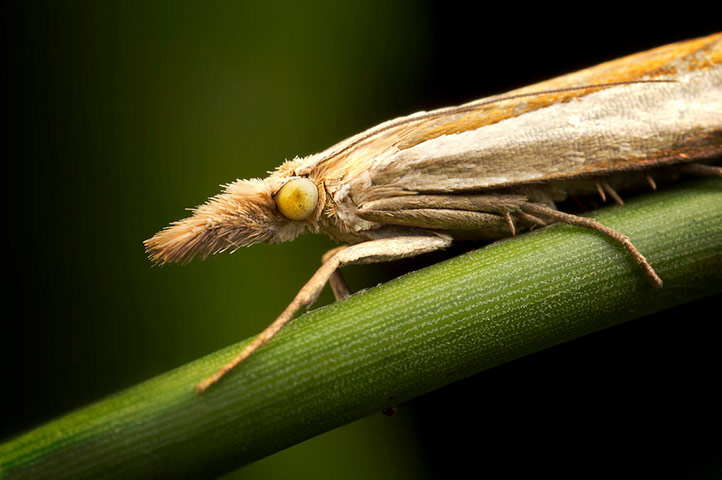 Green Shoots: mother nature fruits from spring labour