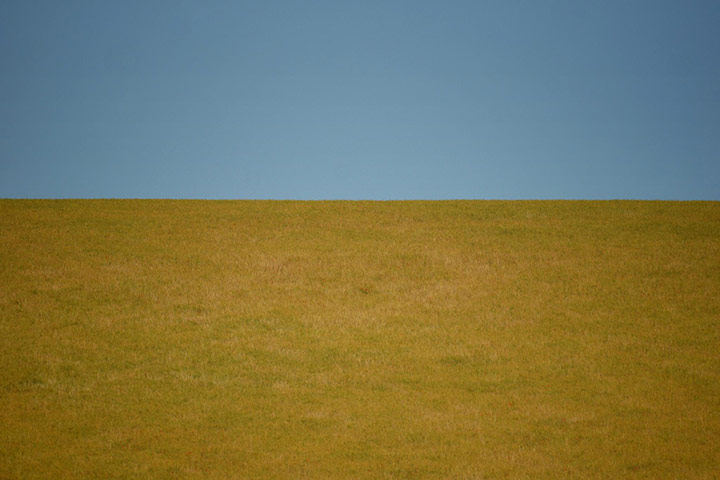 Green Shoots: mother nature fruits from spring labour