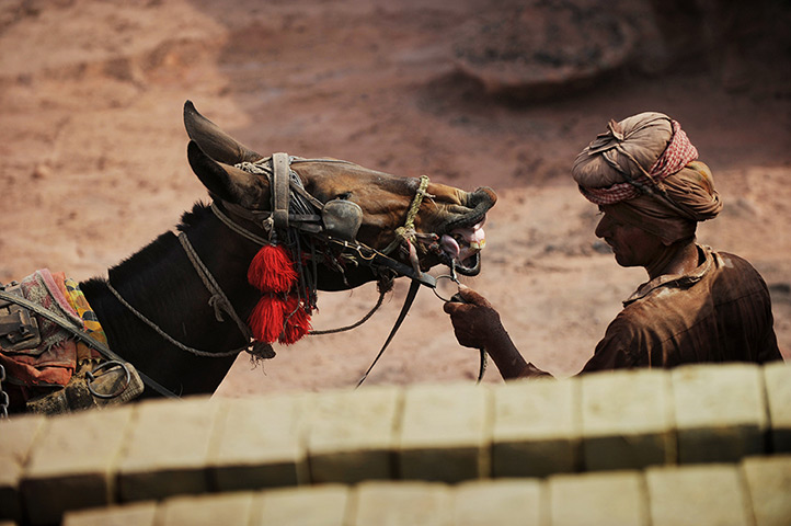 24 hours in pictures: Mohamed Yusuf, handles a horse attached to a cart 