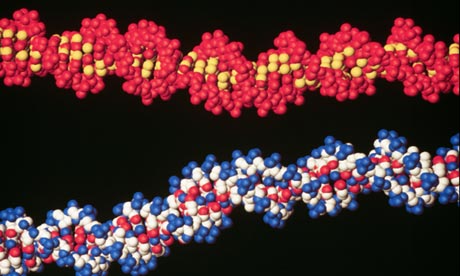 Dna Storage